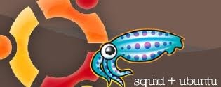 Unix - ставим, настраиваем, пользуемся: Установка и настройка Squid3 как кэширующий Transparent Proxy на Ubuntu